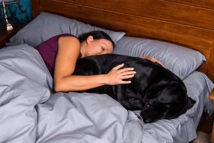 Women Sleep Better Beside Their Dogs Than Their Humans - A Case Study