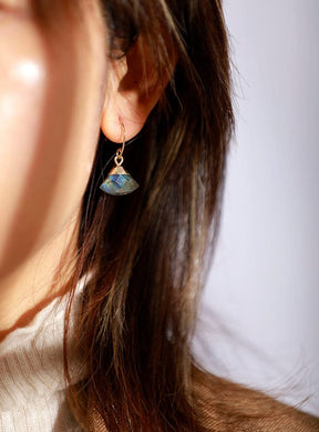 Refined Labradorite Hook Earrings