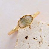 Classic Promise Adjustable Ring